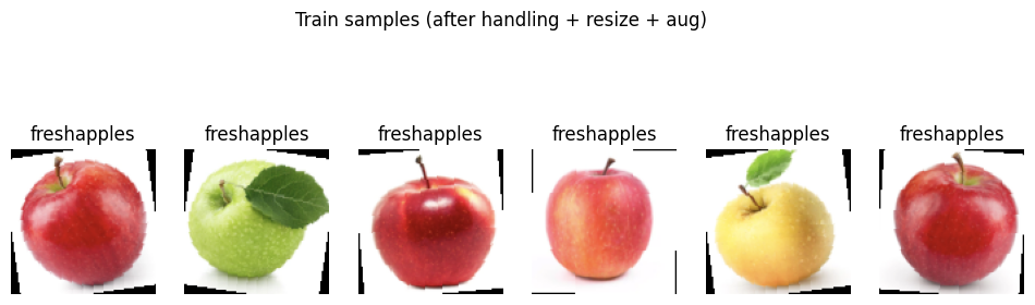 Fruit classification training samples