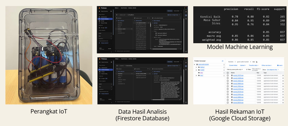 Firestore Database and GCS Evidence
